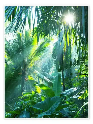 Fiebre de la selva Editors Choice