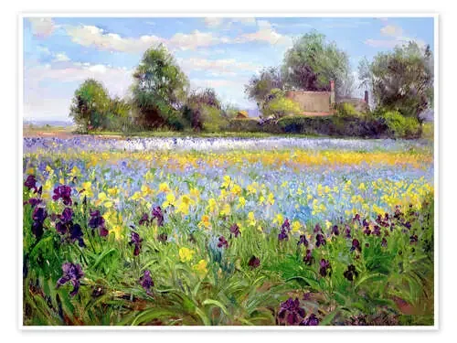 Field of wildflowers II de Timothy Easton Bridgeman Images