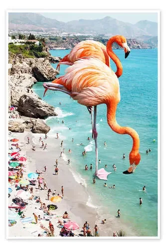 Flamencos en la playa de 83 Oranges