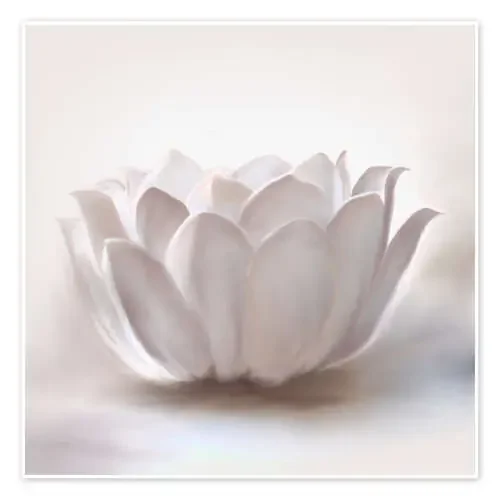 Flor de loto blanca de Christine Ganz