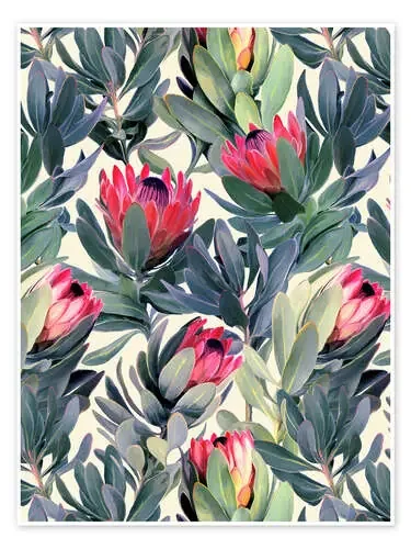 Flores de protea de Micklyn Le Feuvre