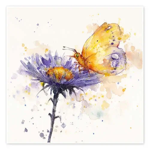 Flores y mariposa de Sillier Than Sally
