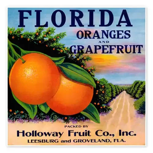 Florida Oranges and Grapefruit de Vintage Advertising Collection