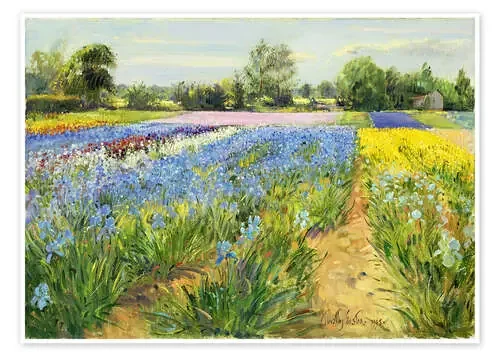 Flower field de Timothy Easton Bridgeman Images