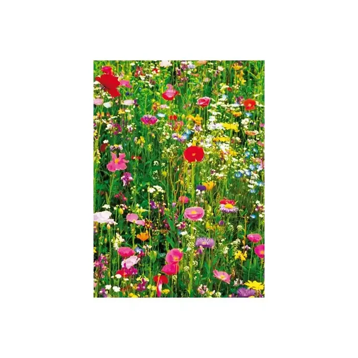FLOWER FIELD