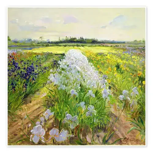 Flowers on a field de Timothy Easton Bridgeman Images
