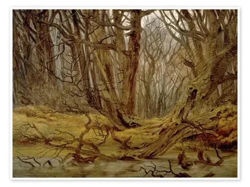 Forest in late autumn de Caspar David Friedrich akg-images