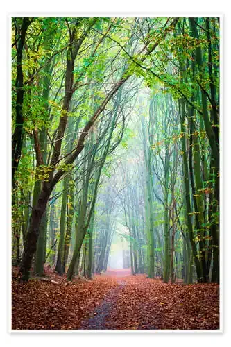 Forest path through the seasons de Martin Wasilewski