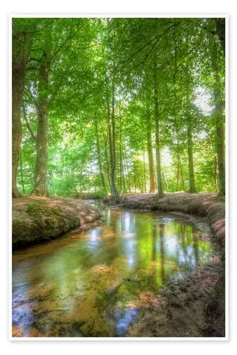 Forest River de Manfred Hartmann