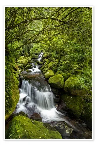 Forest stream with waterfall de Thomas Klinder