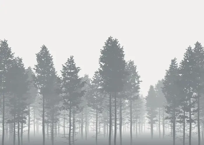 fotomural árboles gris de Komar – 611641