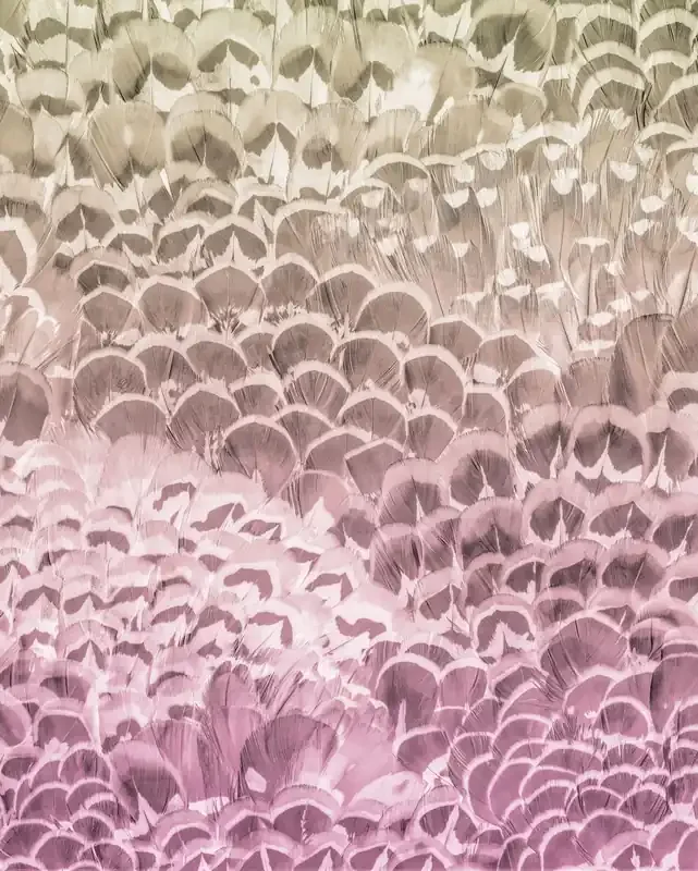fotomural artístico rosa de Sanders & Sanders – 612355