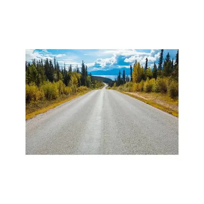 Fotomural ATLIN ROAD