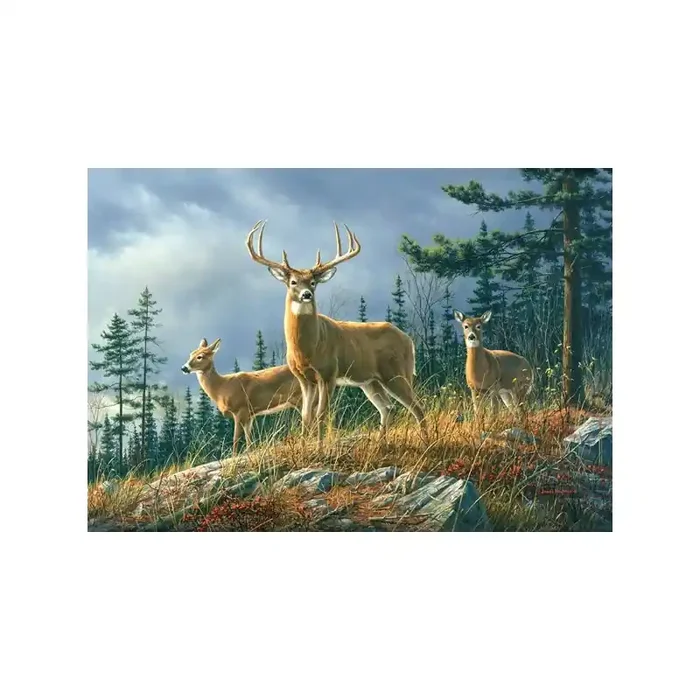 Fotomural AUTUMN WHITETAILS