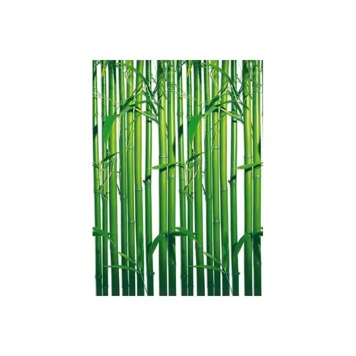 Fotomural BAMBOO