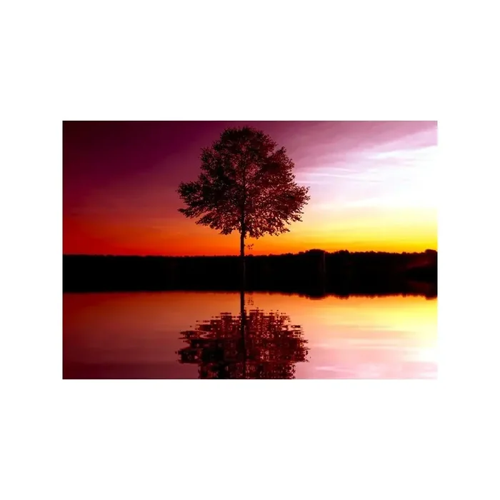 Fotomural BEAUTIFUL 8-007P