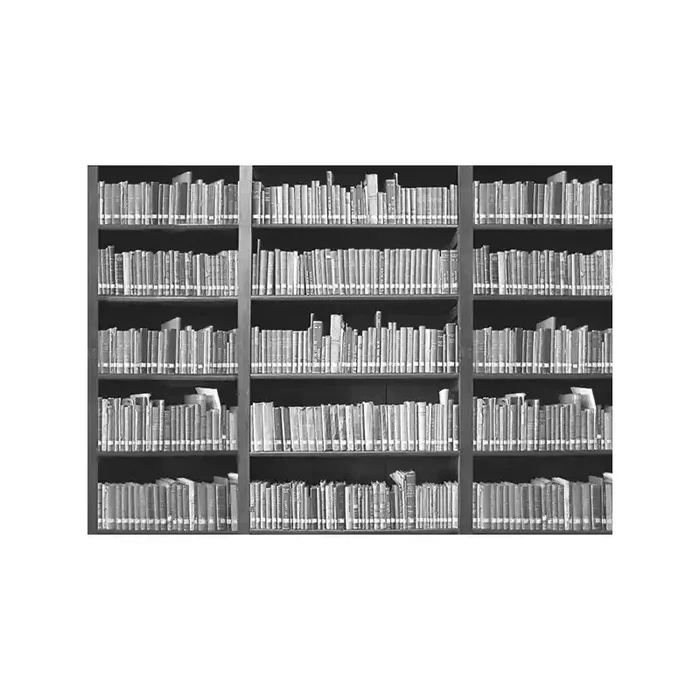 Fotomural BOOKSHELF 001