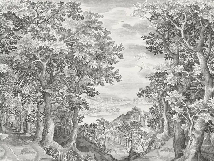 fotomural bosque blanco y negro de Sanders & Sanders – 640816