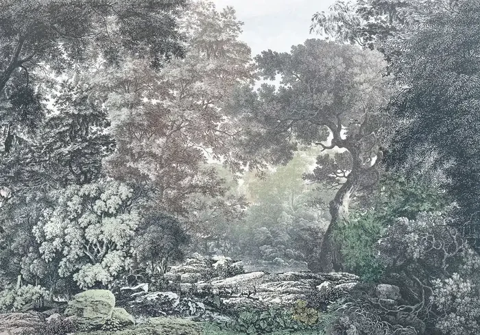 fotomural bosque de cuento de hadas gris y verde de Sanders & Sanders – 612460