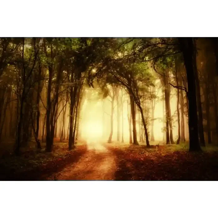 Fotomural Bosque Otoo FPR029, 195cm. x 126.8cm., Vinilo Autoadhesivo Mate, Todo Color, Original, 0x0x0x0 cm.