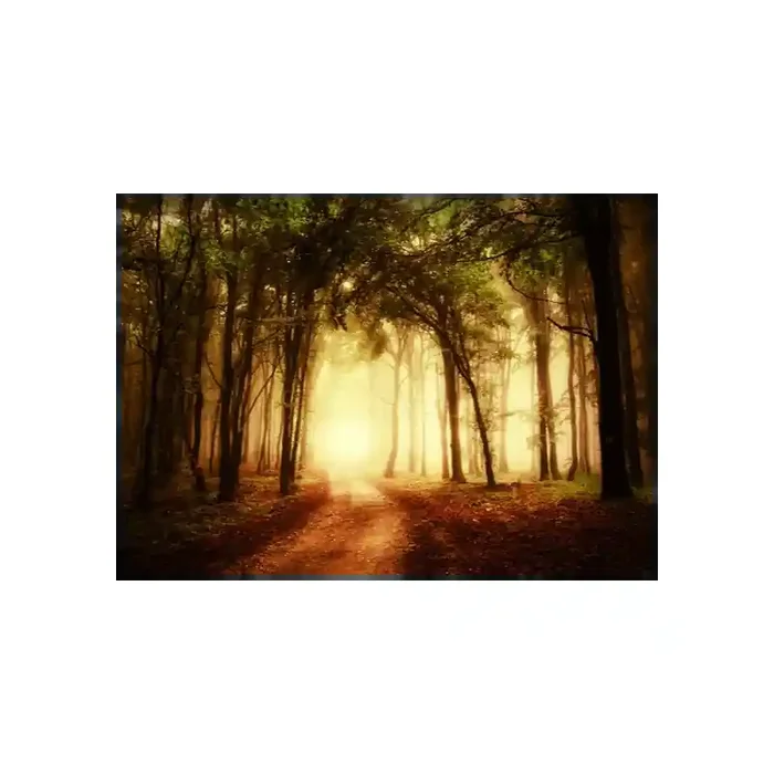Fotomural Bosque Otoo FPR029, 380cm. x 270cm., Vinilo Autoadhesivo Mate, Todo Color, Original, 16.19x0x16.19×0 cm.