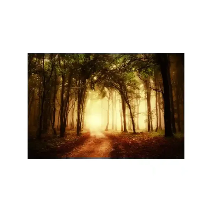 Fotomural Bosque Otoo FPR029, 400cm. x 265cm., Vinilo Autoadhesivo Mate, Todo Color, Original, 3.77x0x3.77×0 cm.