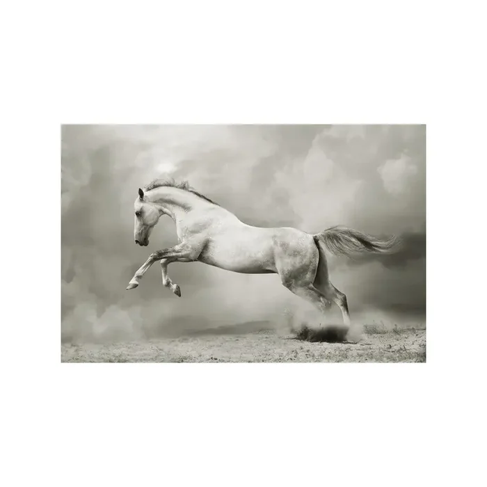 Fotomural Caballo FAN013