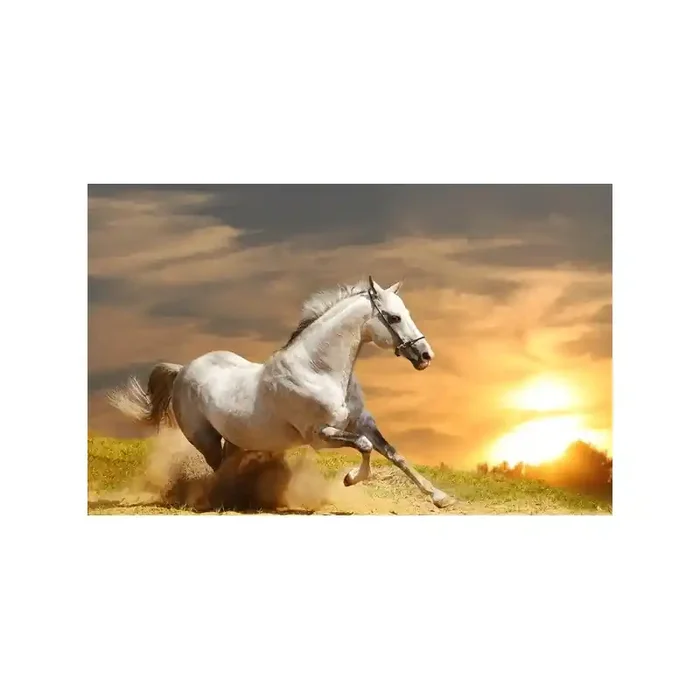 Fotomural Caballo FAN015