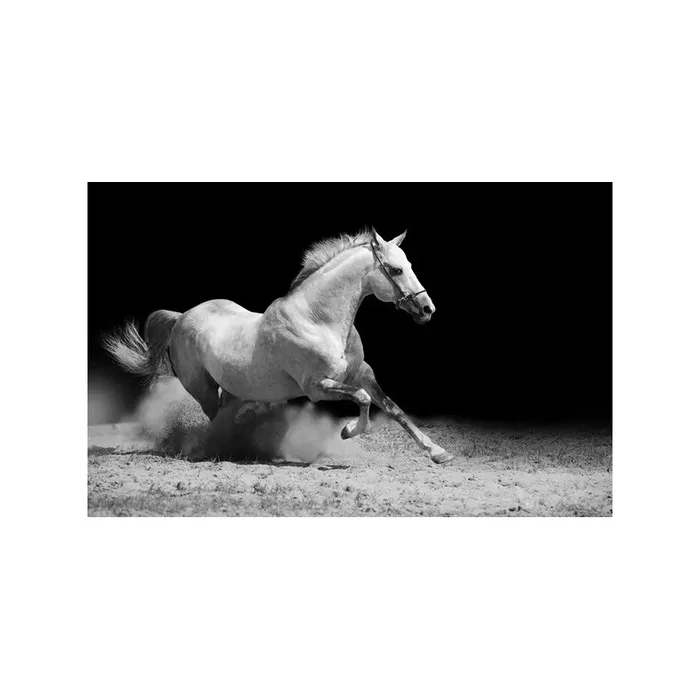 Fotomural Caballo FAN019