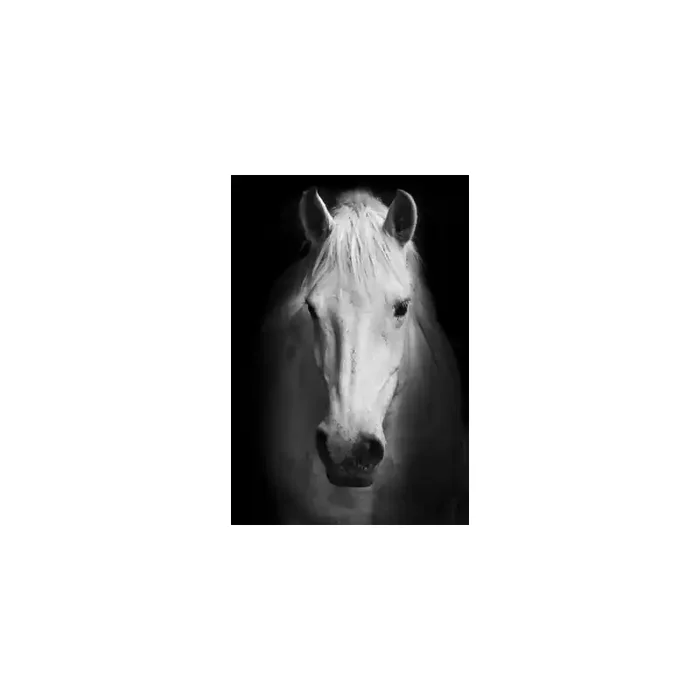 Fotomural Caballo FAN022, 100cm. x 150cm., Vinilo Autoadhesivo Mate, Todo Color, Original, 0x0x0x0 cm.
