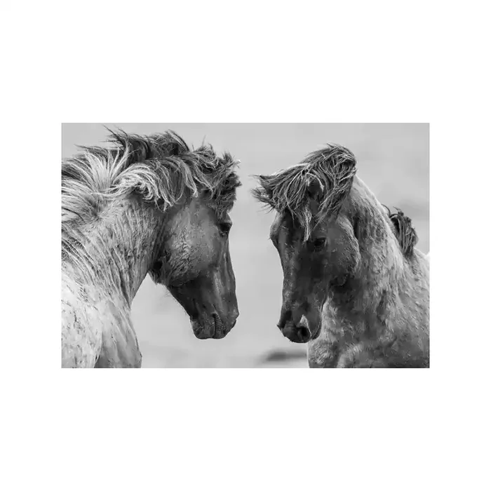 Fotomural Caballo FAN030
