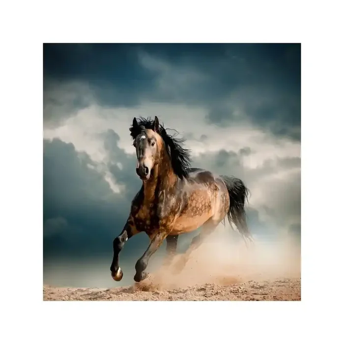 Fotomural Caballo FAN035