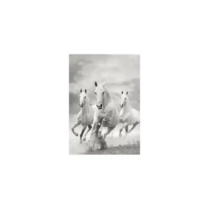 Fotomural Caballos FAN011, 160cm. x 144cm., Vinilo Autoadhesivo Mate, Todo Color, Original, 0x0x0x0 cm.