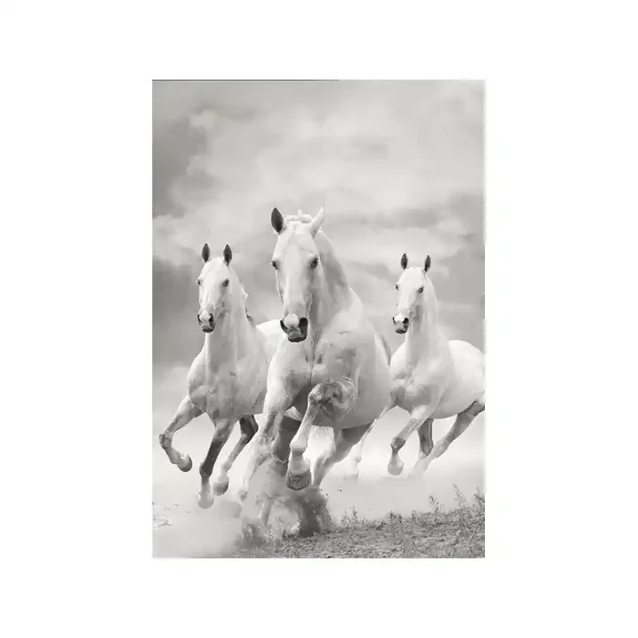 Fotomural Caballos FAN011