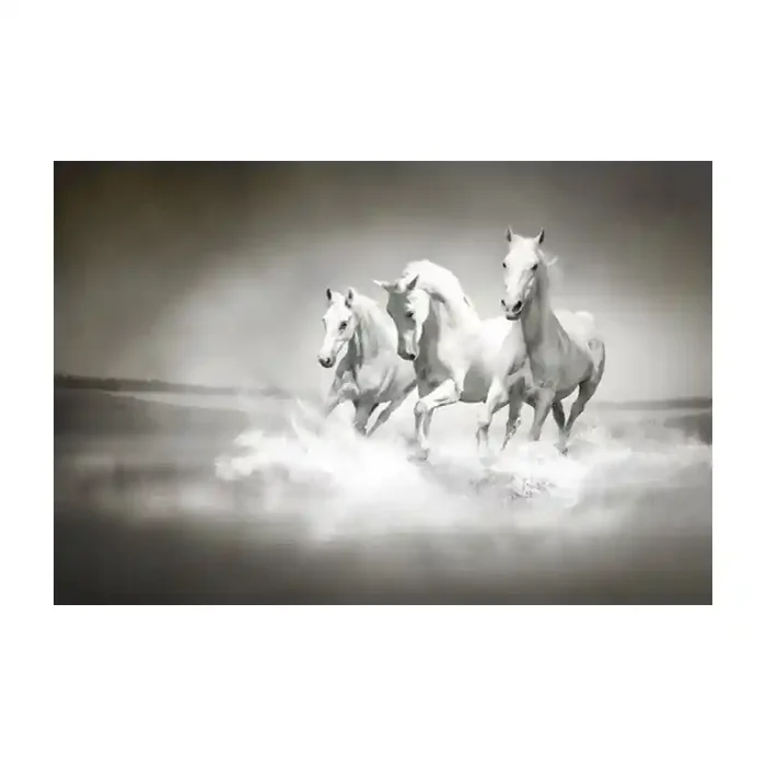 Fotomural Caballos FAN017, 100cm. x 66cm., Vinilo Autoadhesivo Mate, Todo Color, Original, 0x0x0x0 cm.