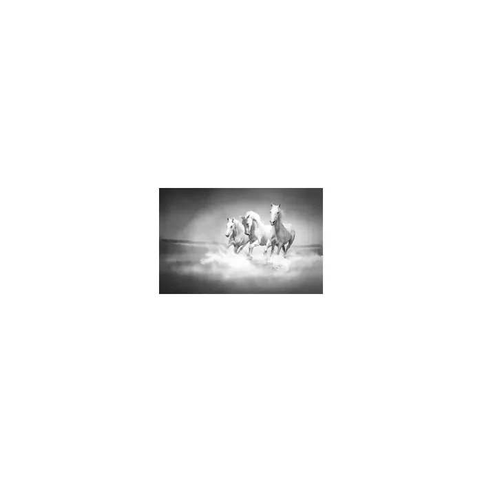 Fotomural Caballos FAN017, 320cm. x 210cm., Vinilo Autoadhesivo Mate, Blanco y Negro, Original, 0x0x0x0 cm.
