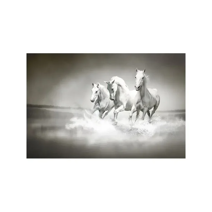 Fotomural Caballos FAN017