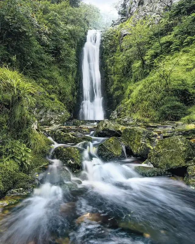 fotomural cascada verde de Sanders & Sanders – 612508