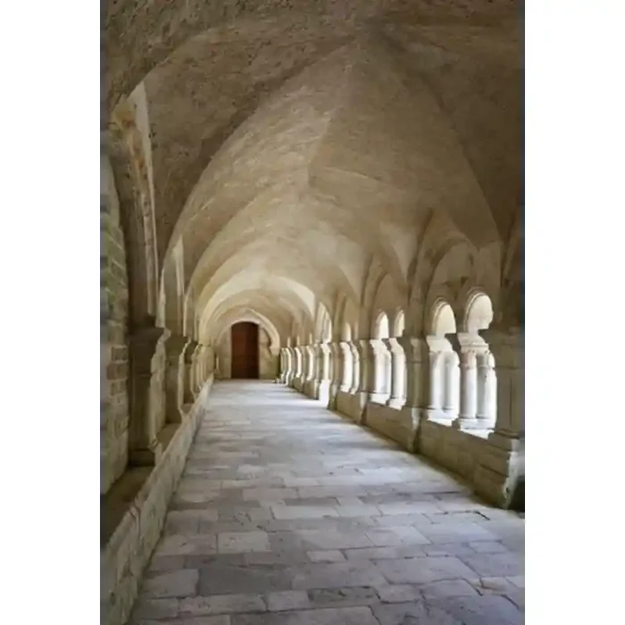 Fotomural Castelo FPR010, 185cm. x 279.6cm., Vinilo Autoadhesivo Mate, Todo Color, Original, 0x0x0x0 cm.