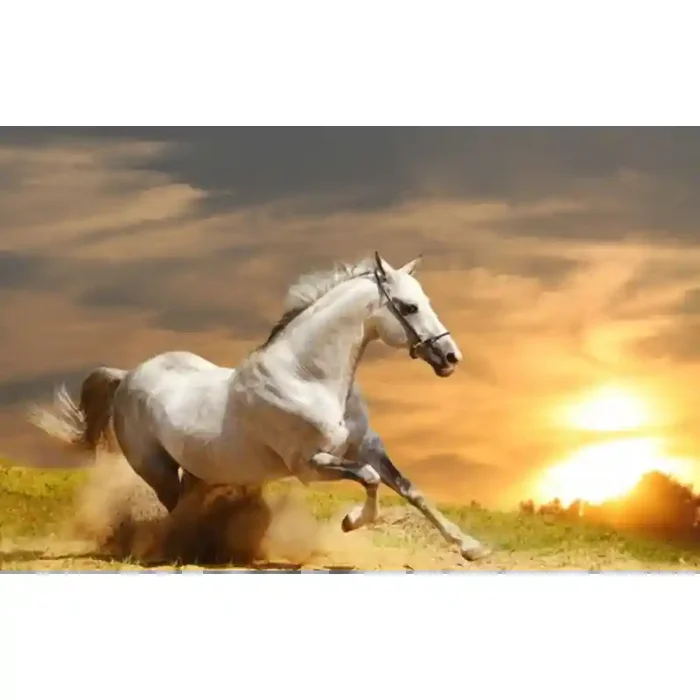 Fotomural Cavalo FAN015, 100cm. x 63cm., Vinilo Autoadhesivo Mate, Todo Color, Original, 0x0x0x0 cm.