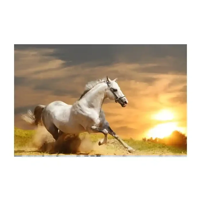 Fotomural Cavalo FAN015, 180cm. x 80cm., Vinilo Autoadhesivo Mate, Todo Color, Original, 0x0x0x0 cm.