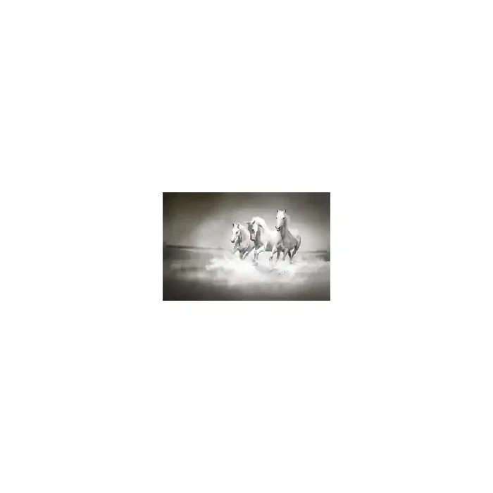 Fotomural Cavalos FAN017, 100cm. x 66cm., Vinilo Autoadhesivo Mate, Todo Color, Original, 0x0x0x0 cm.