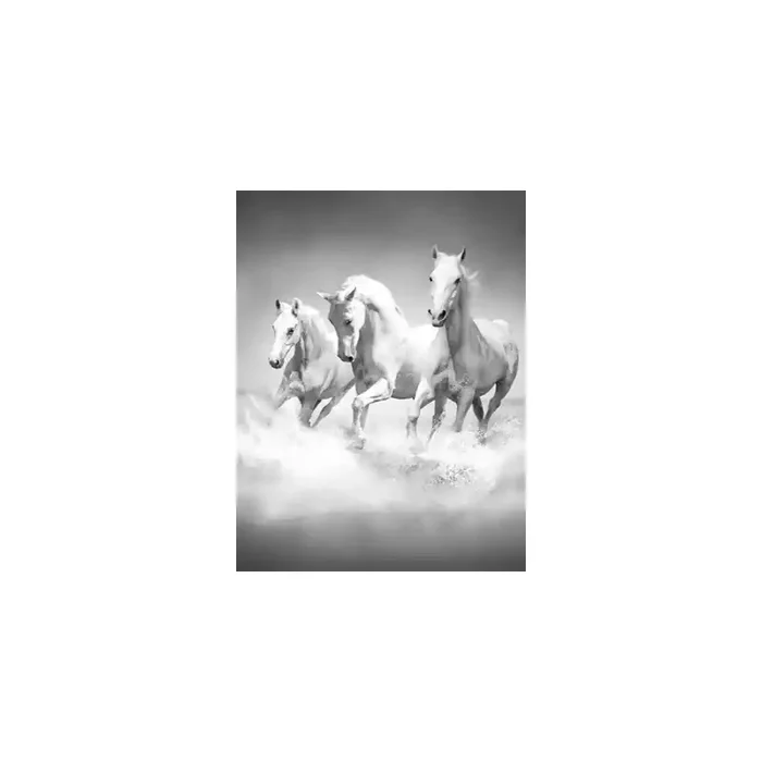 Fotomural Cavalos FAN017, 165cm. x 220cm., Vinilo Autoadhesivo Mate, Blanco y Negro, Original, 57.79x0x25.33×0 cm.