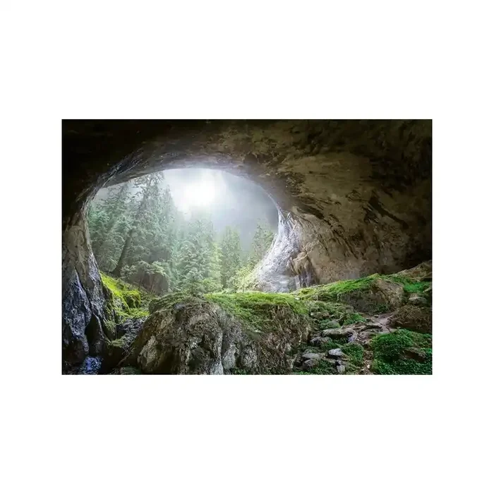Fotomural CAVE IN THE FOREST