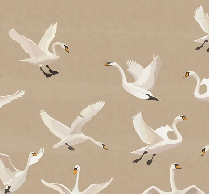 fotomural cisnes cerval y blanco de ESTAhome – 159419