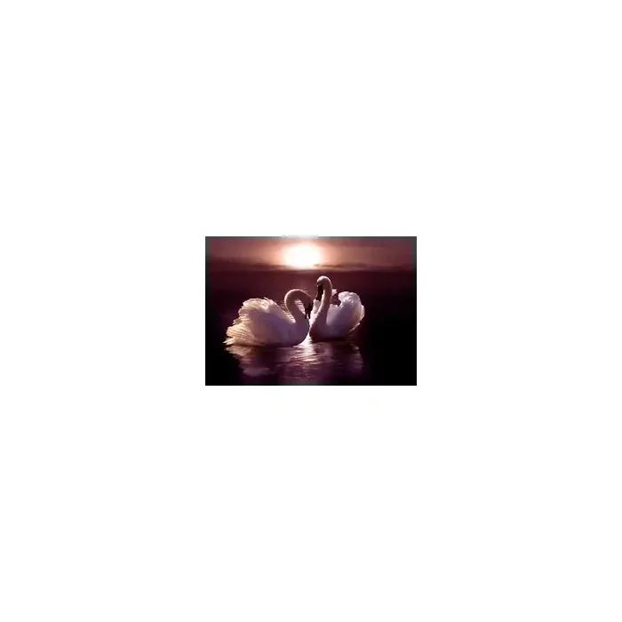 Fotomural Cisnes FAN024, 283cm. x 133.3cm., Vinilo Autoadhesivo Mate, Todo Color, Original, 0x0x0x0 cm.