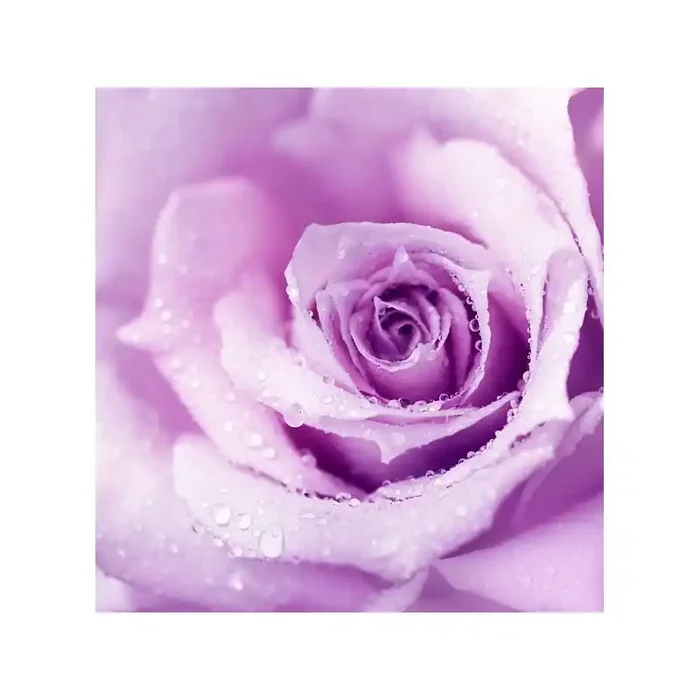 Fotomural Decorativo FV020