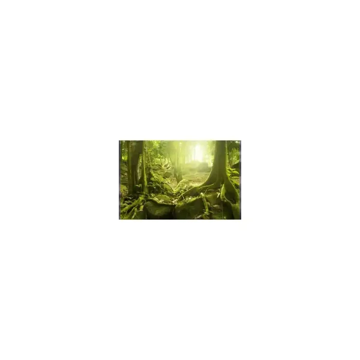 Fotomural Decorativo FV025, 260cm. x 260cm., Vinilo Autoadhesivo Mate, Todo Color, Original, 0x0x0x0 cm.