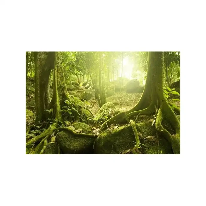 Fotomural Decorativo FV025