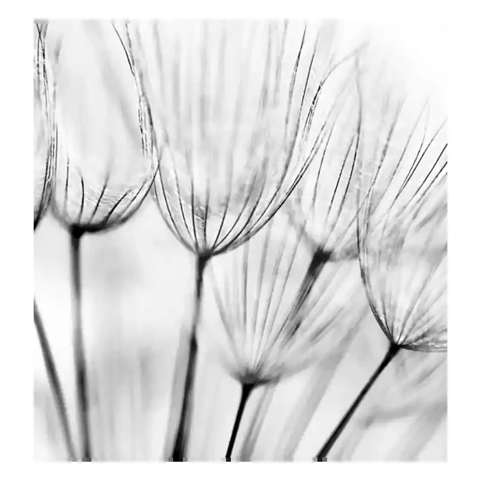 Fotomural Decorativo FV029, 160cm. x 250cm., Vinilo Autoadhesivo Mate, Todo Color, Original, 0x0x0x0 cm.